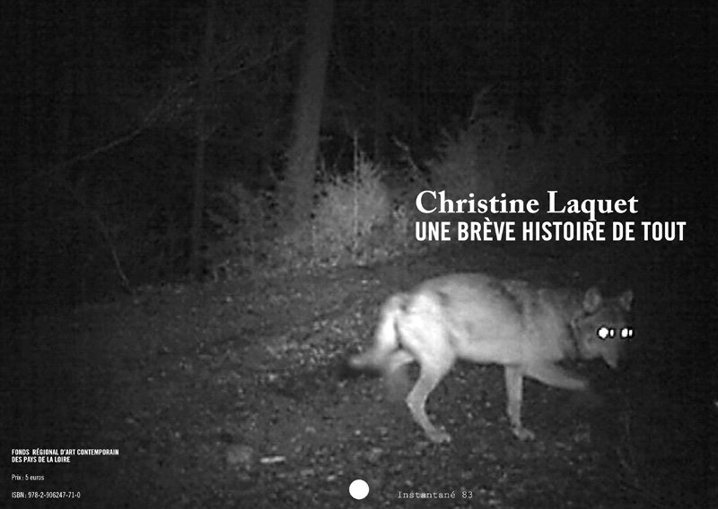 UNE BRÈVE HISTOIRE DE TOUT, CHRISTINE LAQUET.