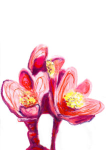 Christine Laquet -