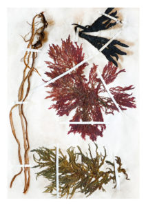 Christine Laquet -