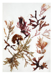 Christine Laquet -