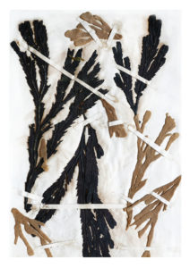 Christine Laquet -