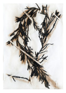 Christine Laquet -