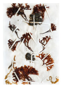 Christine Laquet -