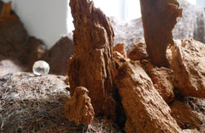 Christine Laquet -