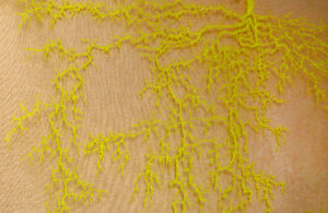 Christine Laquet -