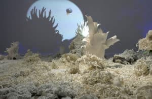 Christine Laquet - Don’t You Sea Changes?