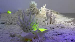 Christine Laquet - Don’t You Sea Changes?