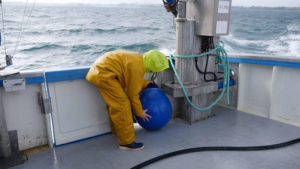 Christine Laquet - Neomysis (Collecting Phytoplankton)