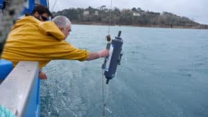 Christine Laquet - Neomysis (Collecting Phytoplankton)