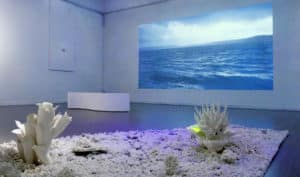 Christine Laquet - Neomysis - Exposition