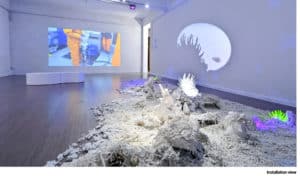 Christine Laquet - Sensing The Sea