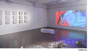 Christine Laquet - Sensing The Sea
