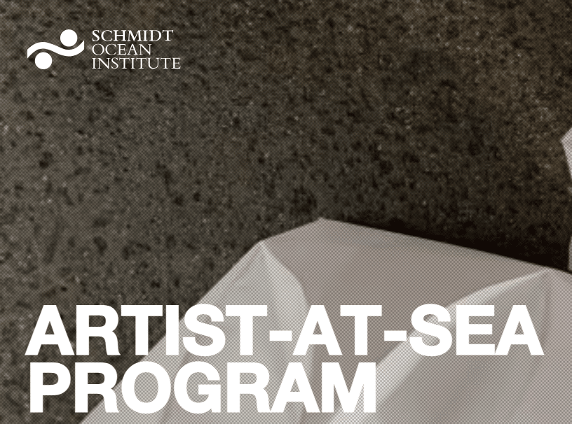 Artist-at-Sea – Schmidt Ocean Institute
